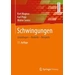 Schwingungen Grundlagen - Modelle - Beispiele Schwingungen Grundlagen - Modelle - Beispiele