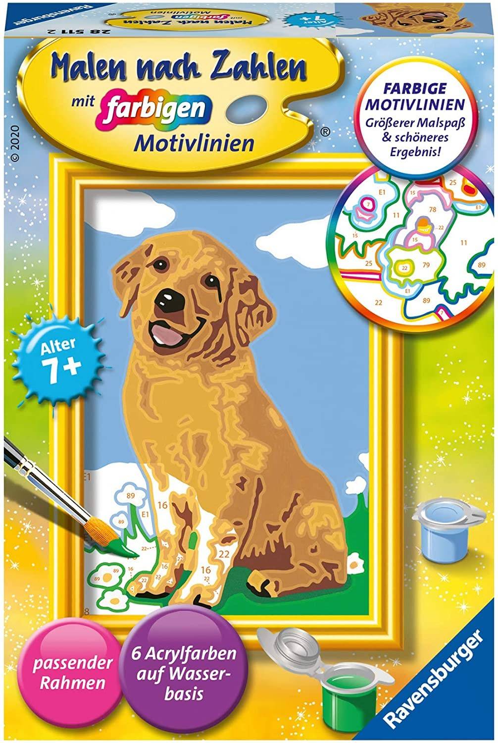 Ravensburger 28511 - Malen nach Zahlen, Kleiner Golden Retriever, MNZ, Malset Mit farbigen Motivlinien. Mit passenden Rahmen!