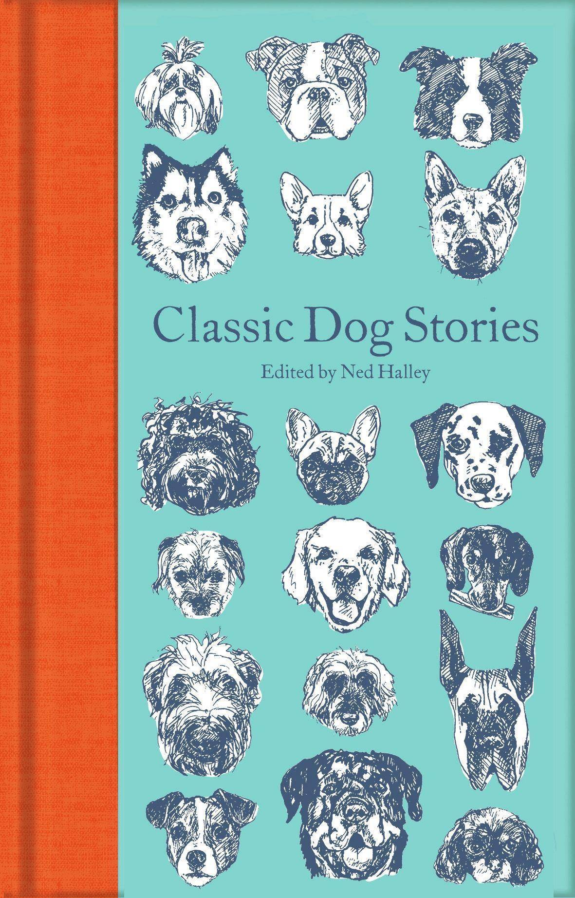 Classic Dog Stories Macmillan Collector's Library