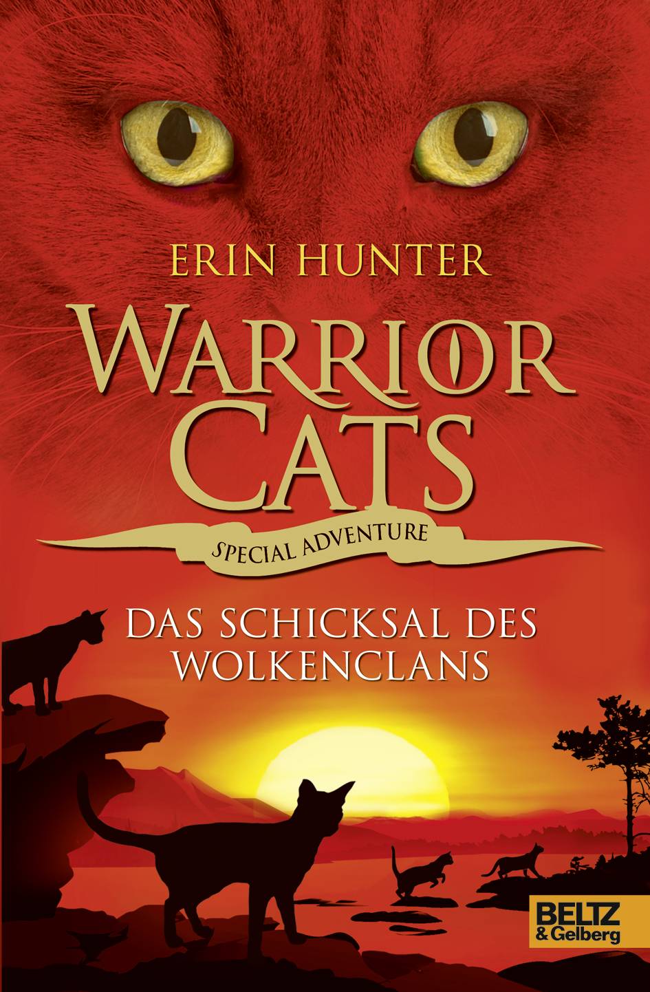 Warrior Cats, Special Adventure, Das Schicksal des WolkenClans Warrior Cats
