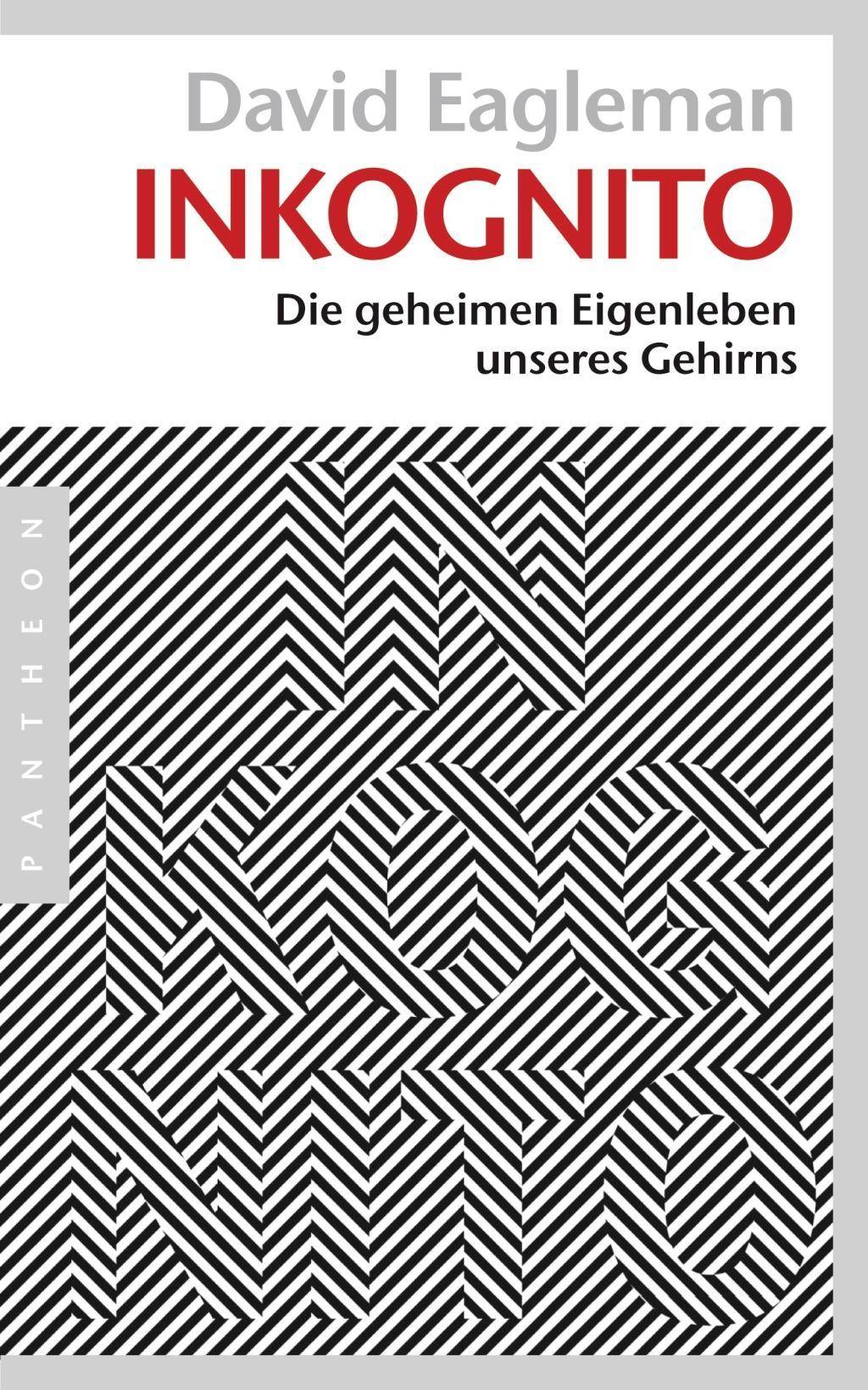 Inkognito Die geheimen Eigenleben unseres Gehirns