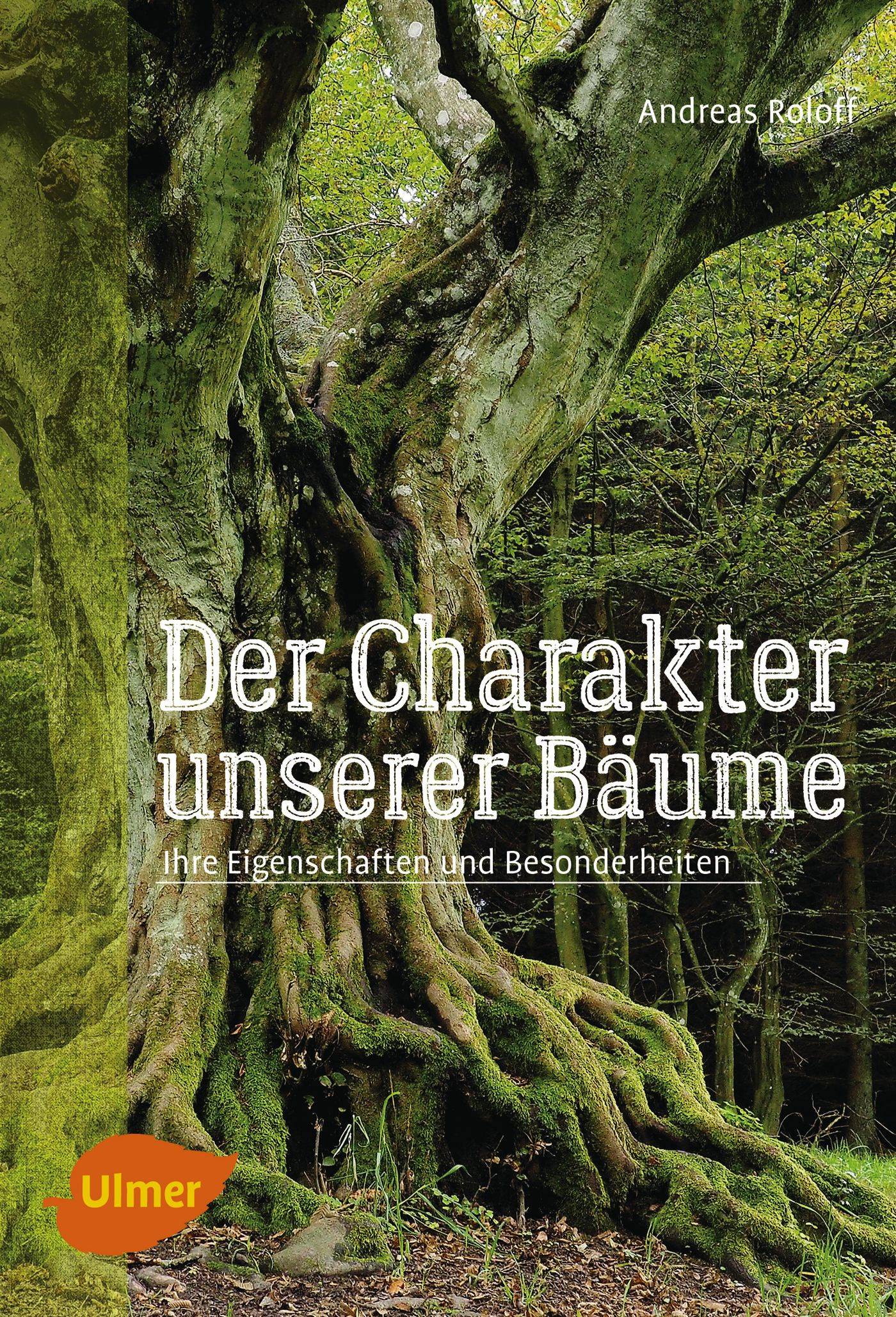Der Charakter unserer Bäume Ihre Eigenschaften und Besonderheiten