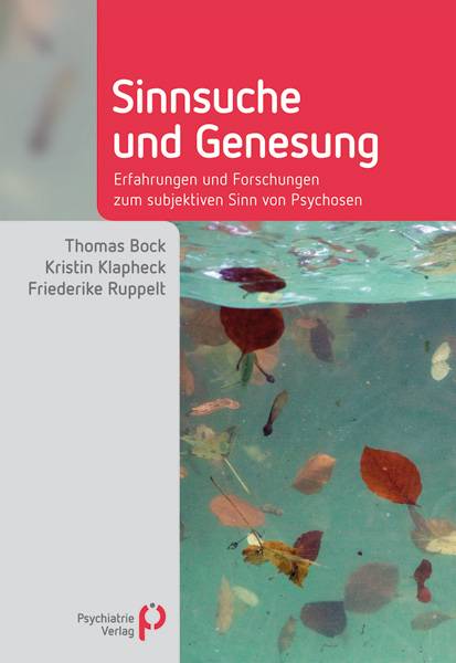 Sinnsuche und Genesung Erfahrungen und Forschungen zum subjektiven Sinn von Psychosen