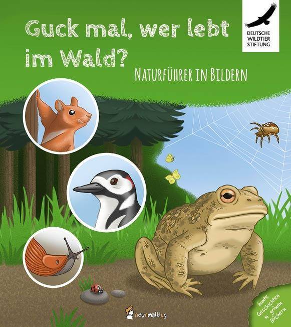 Guck mal, wer lebt im Wald? Naturführer in Bildern. Bunte Geschichten in grünen Büchern