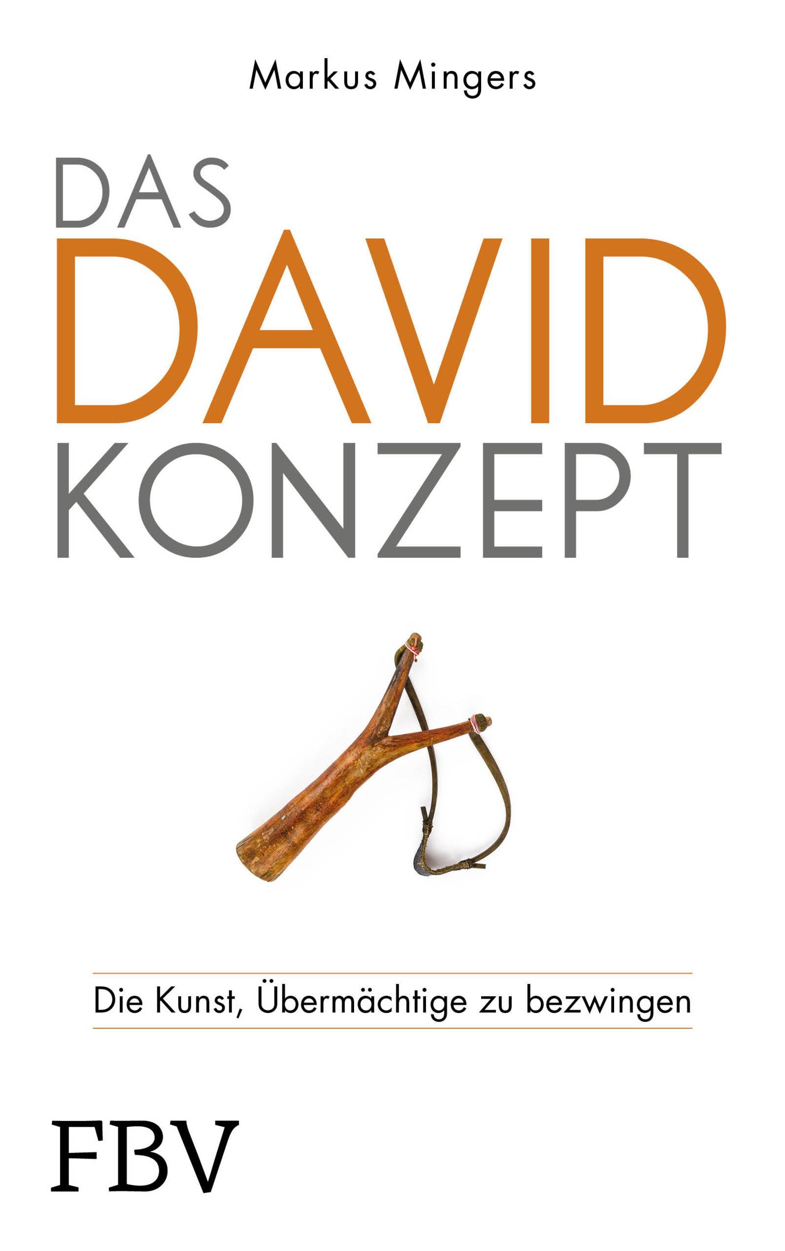 Das David-Konzept Die Kunst, Übermächtige zu bezwingen
