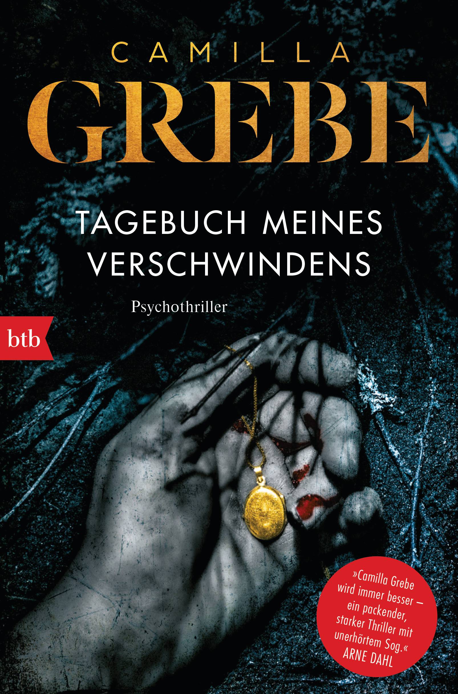 Tagebuch meines Verschwindens Psychothriller