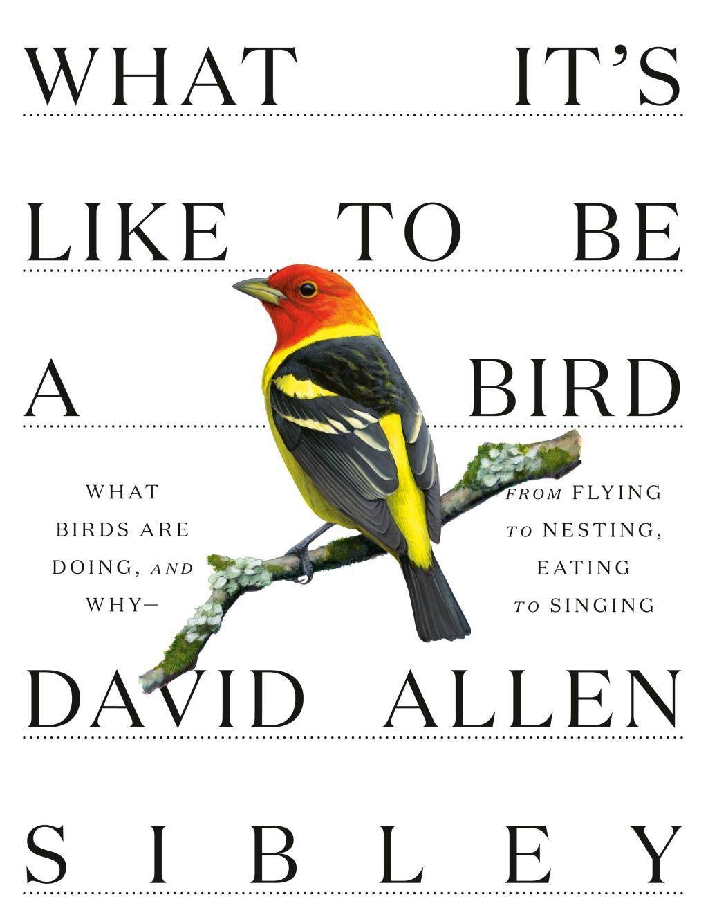 What It's Like to Be a Bird From Flying to Nesting, Eating to Singing - What Birds Are Doing, and Why