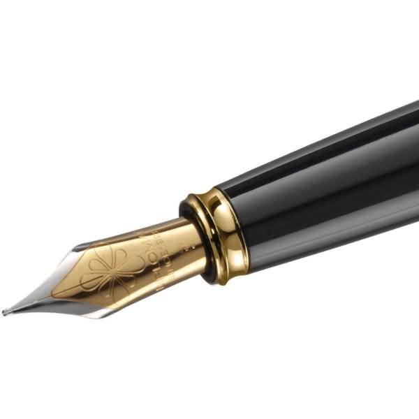 Federaggregat vergoldete Beschläge mit Edelstahlfeder Excellence A2 Breite F