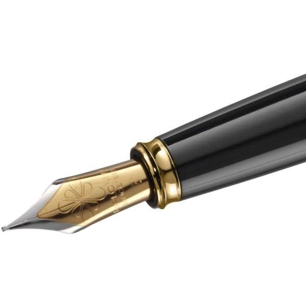 Federaggregat vergoldete Beschläge mit Edelstahlfeder Excellence A2 Breite M