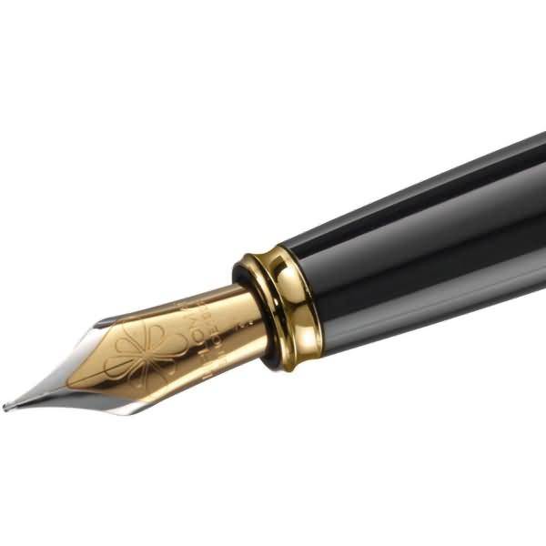 Federaggregat vergoldete Beschläge mit Edelstahlfeder Excellence A2 Breite B