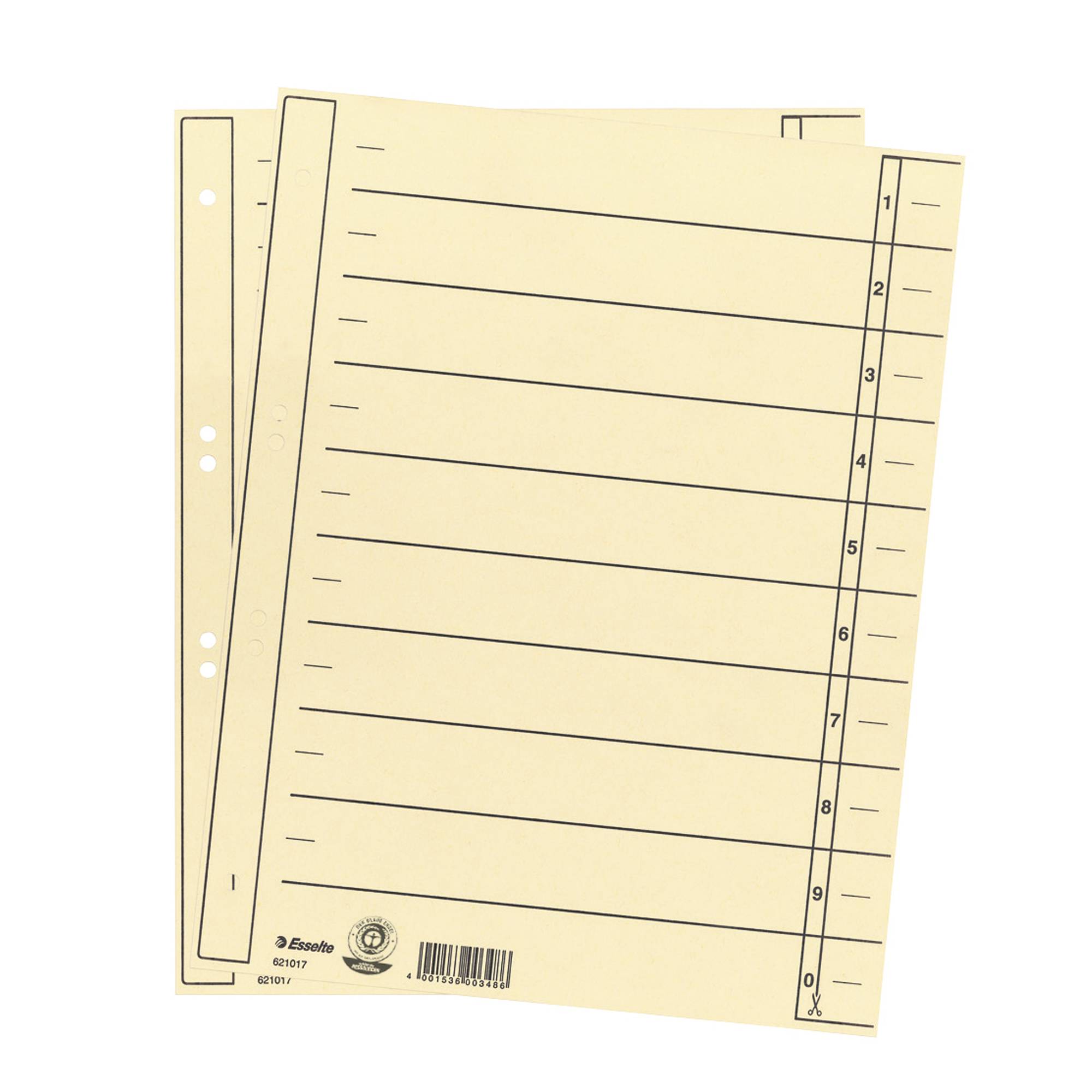 Esselte Trennblatt 621017 DIN A4 24x30cm 10/20Taben Karton chamois