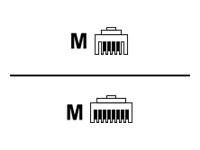 Unify - Telefonkabel - RJ-11 (6-polig) (M) zu RJ-45 (M)