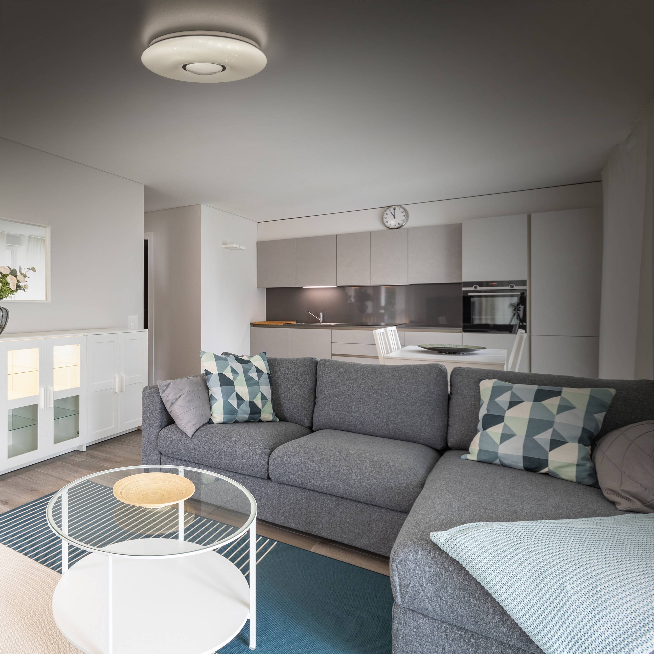 LED Deckenleuchte "PICTON" D: ca. 31 cm