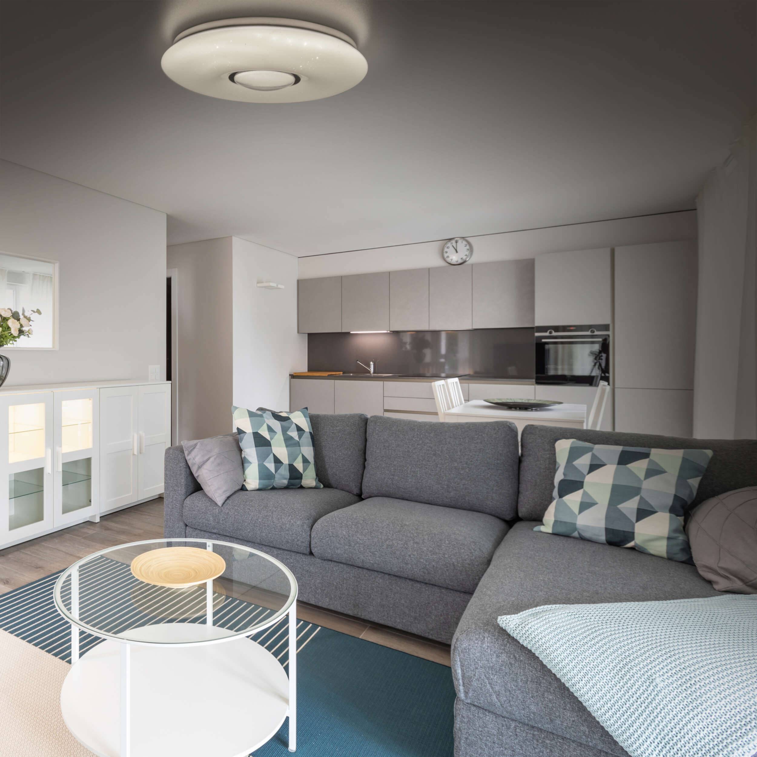 LED Deckenleuchte D. ca 50cm "PICTON"