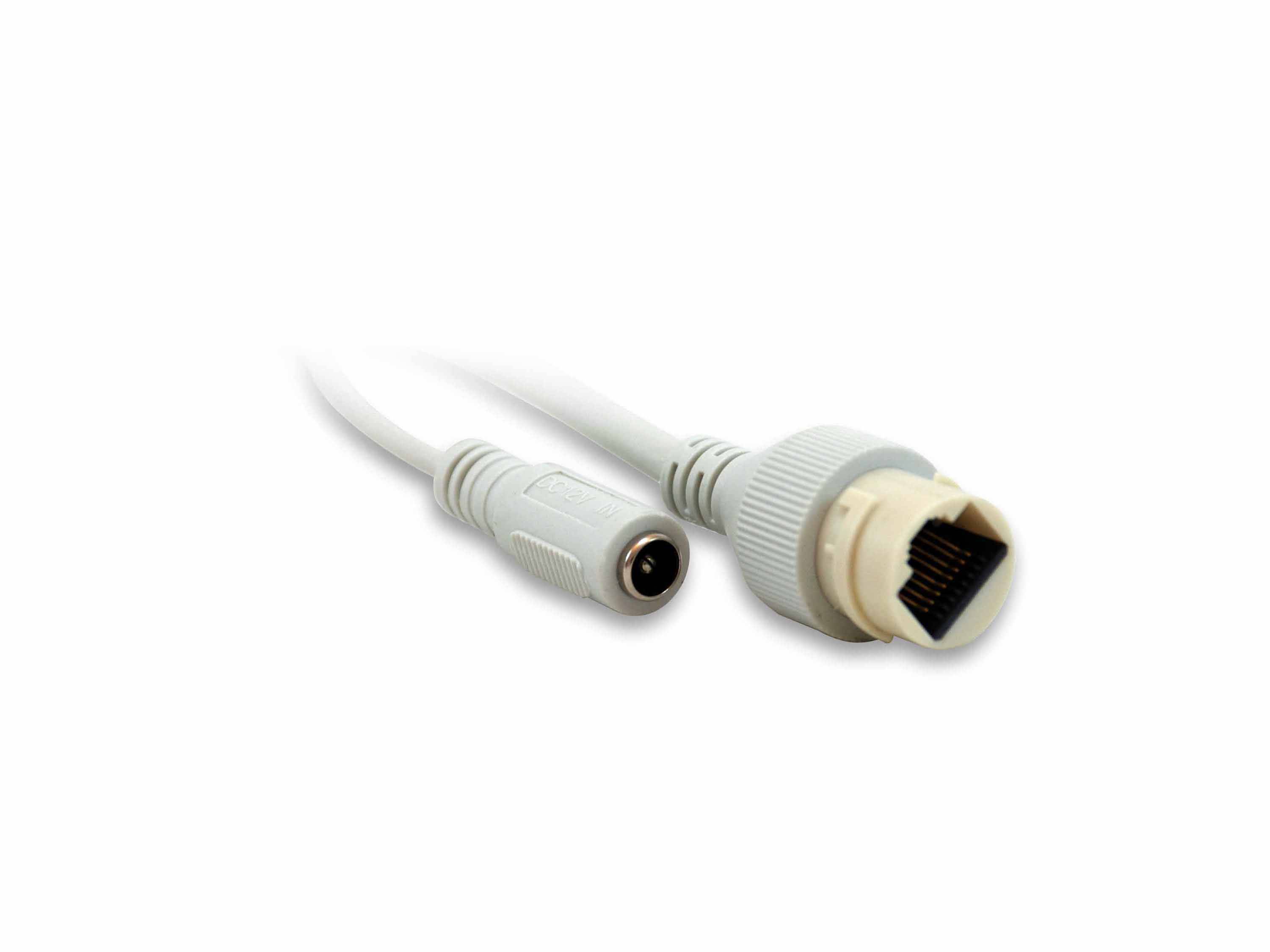 LevelOne GEMINI series FCS-3073 - Netzwerk-Überwachungskamera