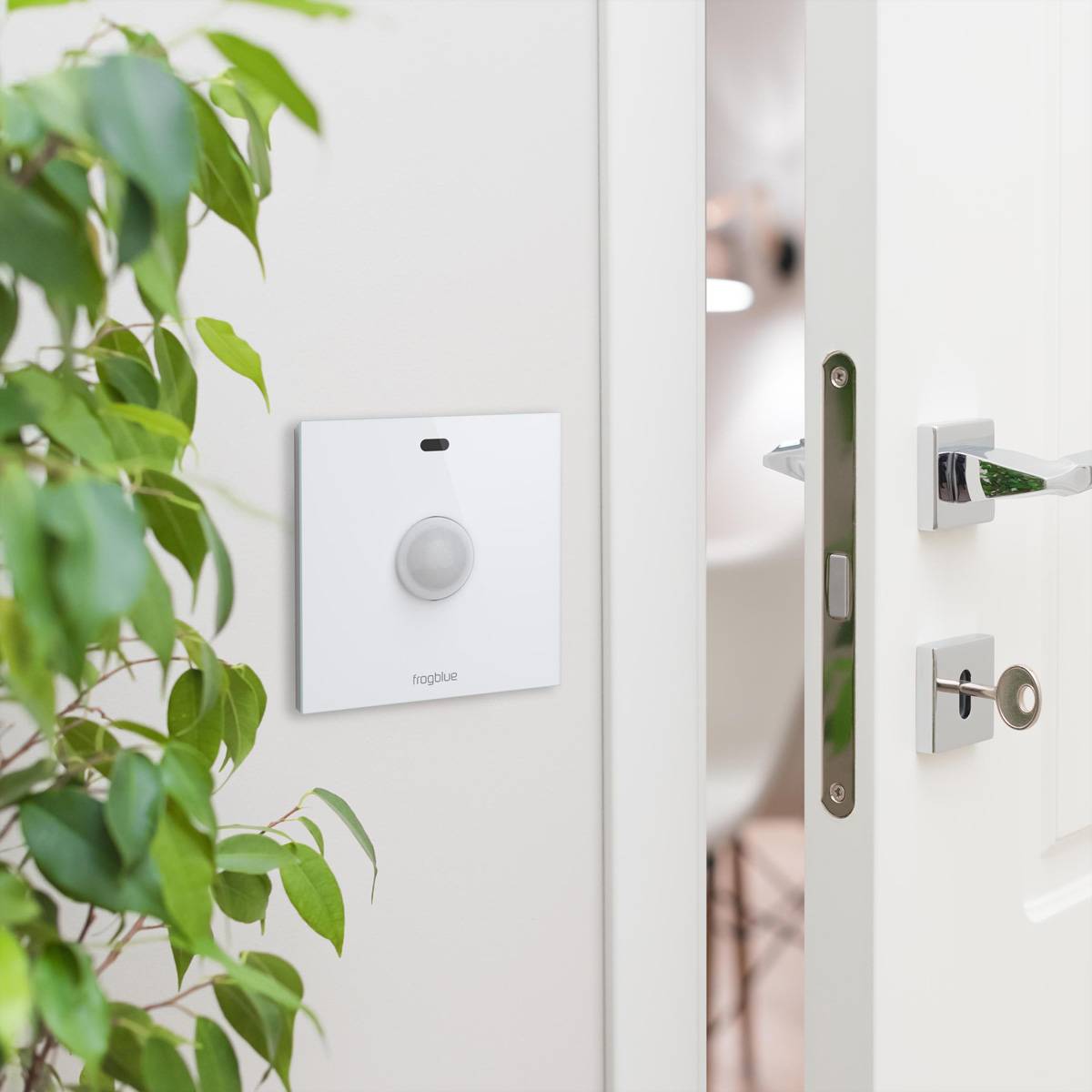 frogblue frogMotion PIR-Sensor Bewegungsdetektion, passive IR-Sensorik