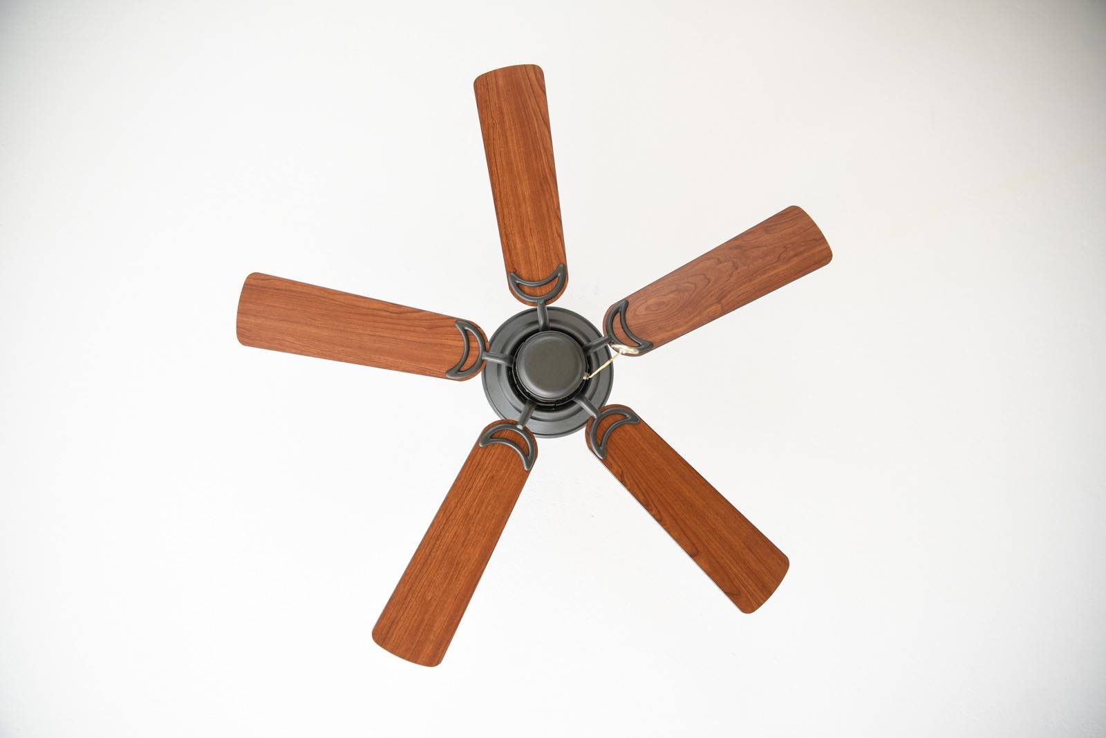 Westinghouse Deckenventilator ohne Licht Nevada 105 cm für Räume bis 20 m²