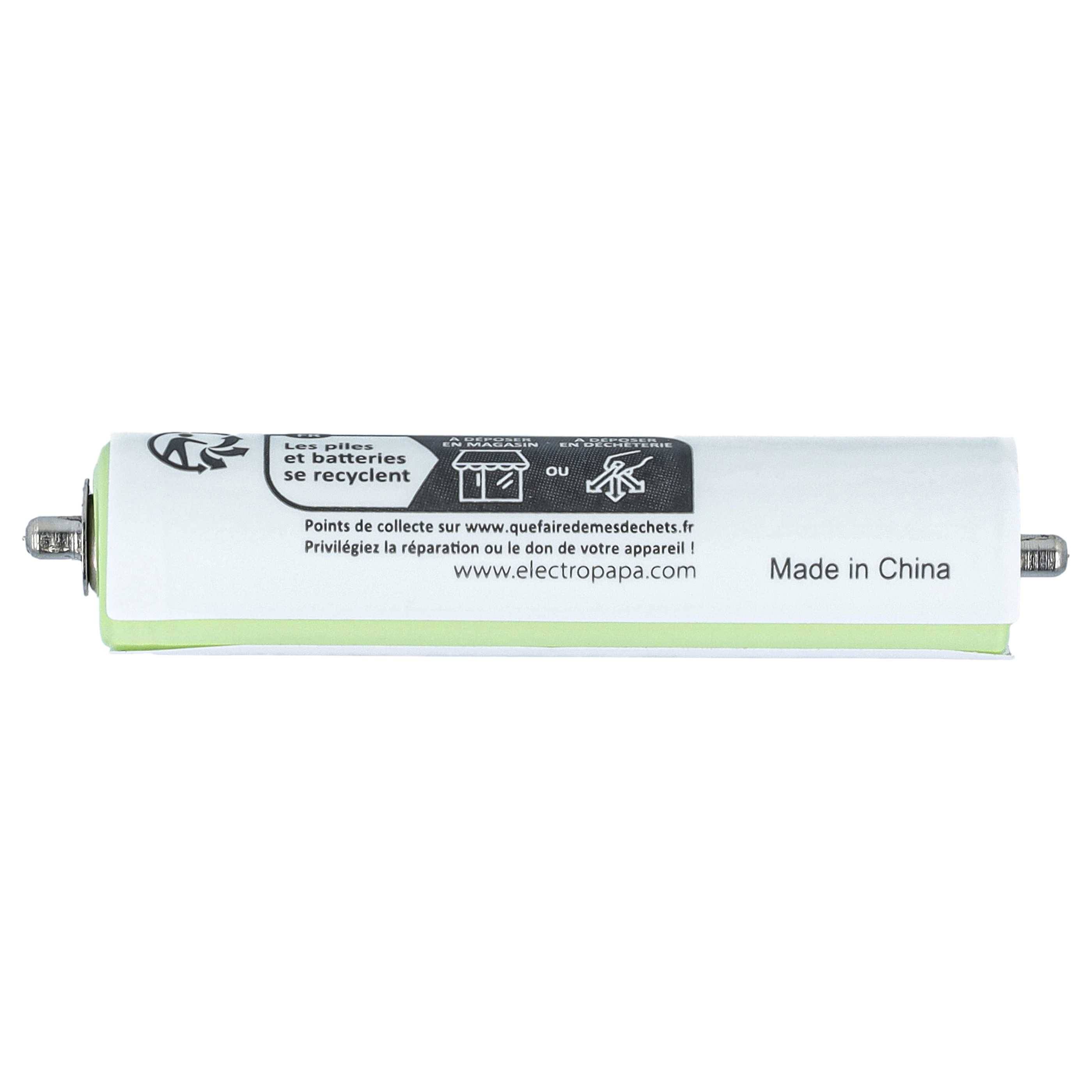 Zylindrische Batteriezelle mit französischem Recycling-Label und 