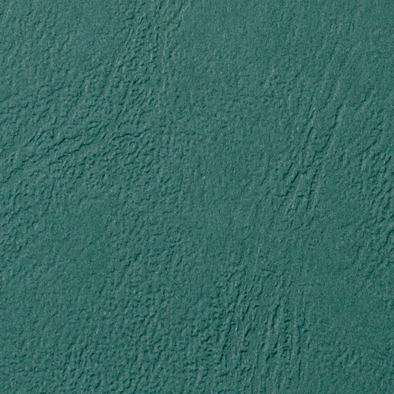 Eine Nahaufnahme einer grünen, texturierten Oberfläche mit einem rauen, unebenen Muster, das an Leder oder Stoff erinnert.