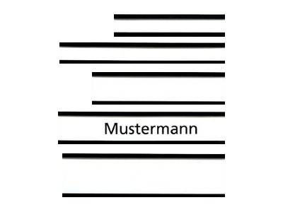 FRANKEN - Magnetetiketthalterung - 6 x 1.5 cm - braun (Packung mit 10)