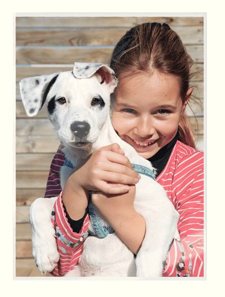 ESSELTE LEITZ - Leitz - Glänzend, kristallklar - A4 (210 x 297