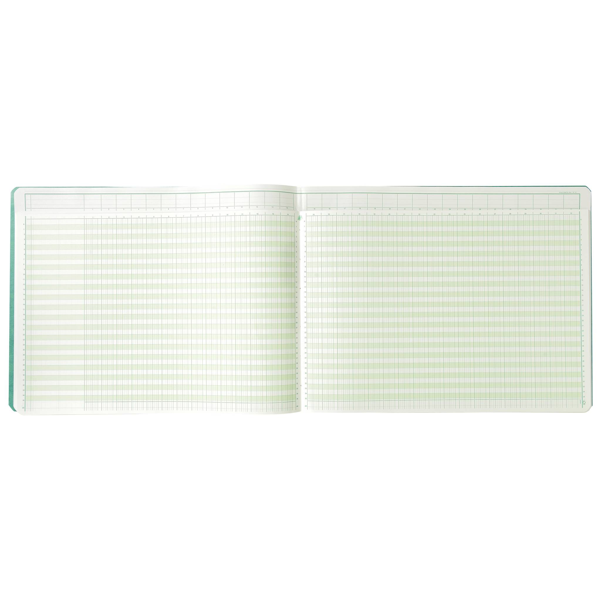 Exacompta Account Book 29.7x38 32 Kol 35 Line 80S - Farben sortiert 18310E