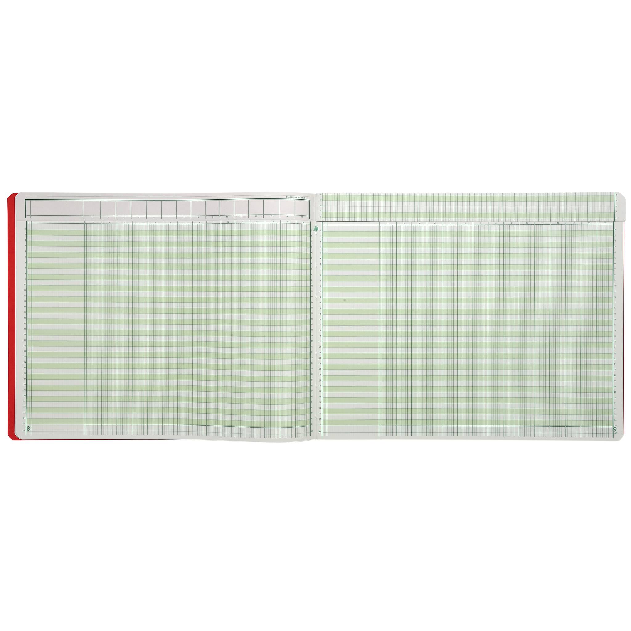 Exacompta Account Book 29.7x38 15 Col 35 Line 80Pg - Farben sortiert 18150E
