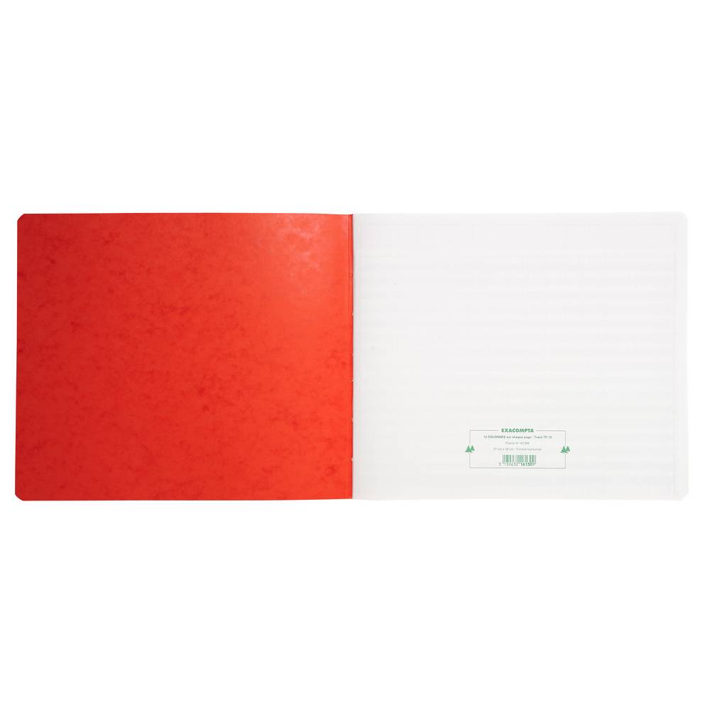 Exacompta Geschaeftsbuch 27x32 80S - 13 Spalten - Farben sortiert - 16130E