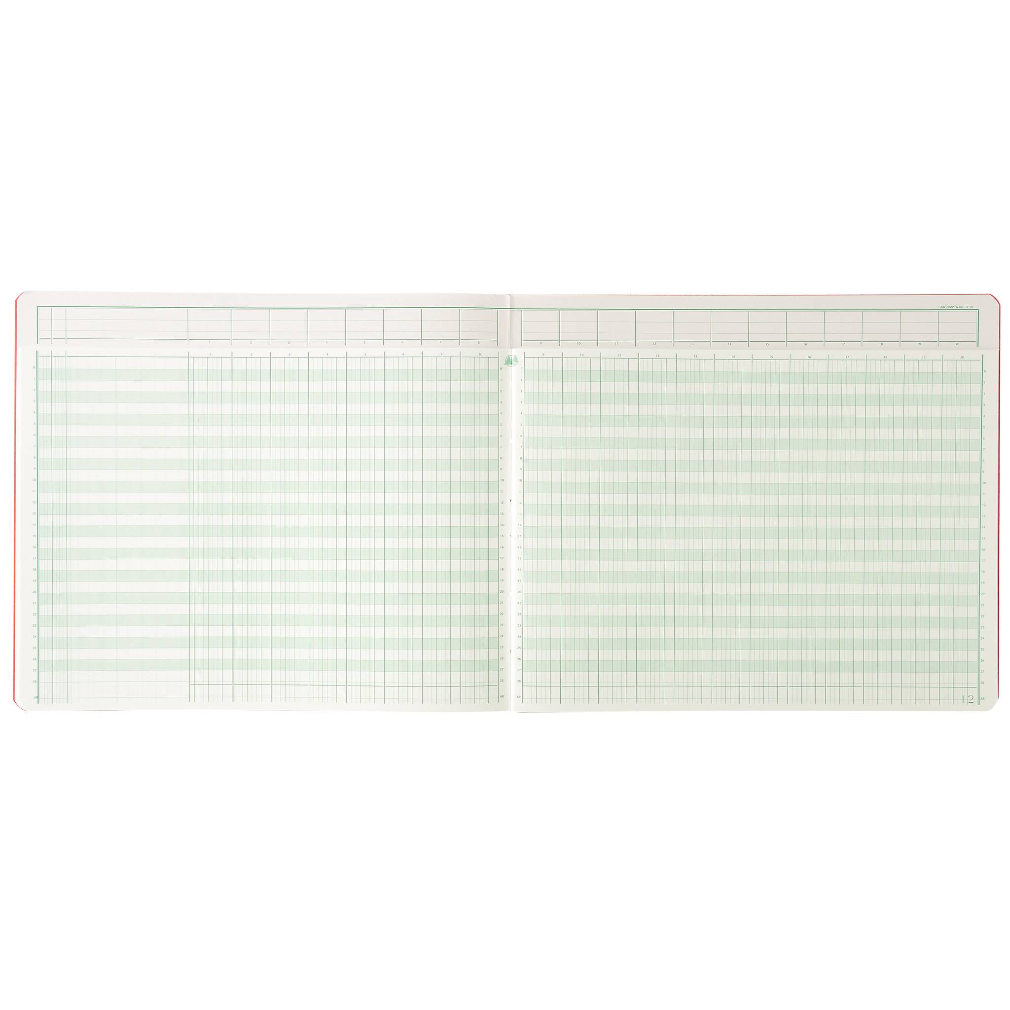 Exacompta Account Book 27x32 20 Col 31 Line 80pgs - Farben sortiert 16200E