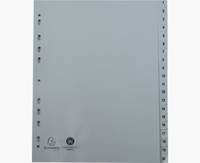 Exacompta - Trennelement - 20 Teile - vorgedruckt: 1-20