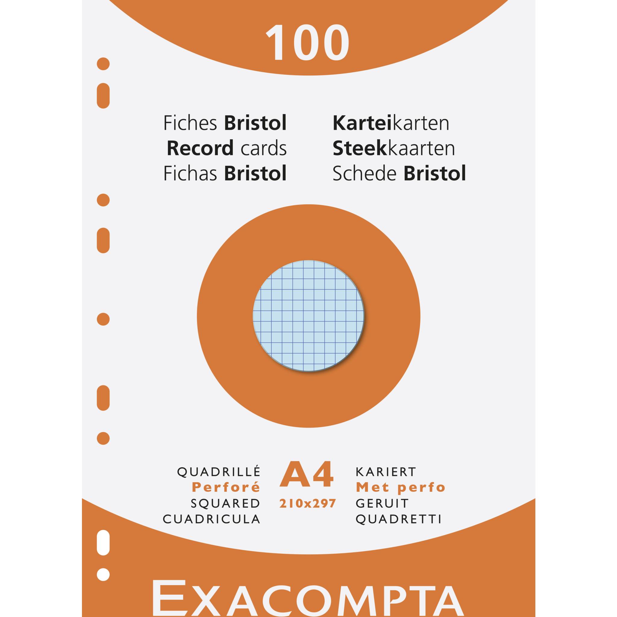 Exacompta Karteikarten 210x297 kar perf ass 100St - Farben sortiert - 13656E