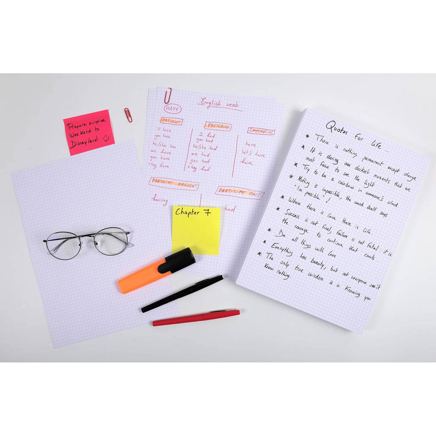 Exacompta Karteikarten A4 kariert, Faltschachtel mit 100 Stück - Weiß - 13206E