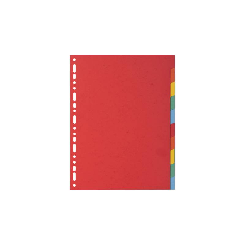 EXACOMPTA Karton-Register, DIN A4, 10-teilig