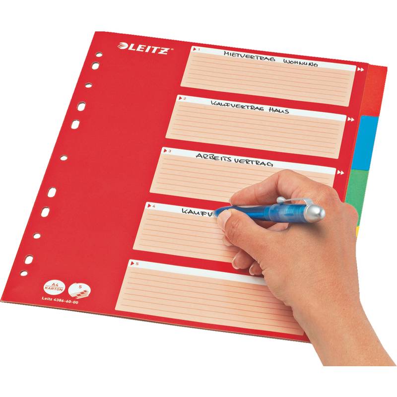 LEITZ Karton-Register, blanko, A4, 5-teilig, mehrfarbig