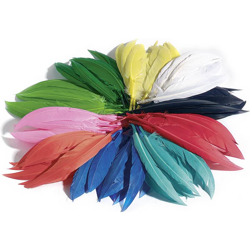 folia Indianerfedern, 100 g, farbig sortiert
