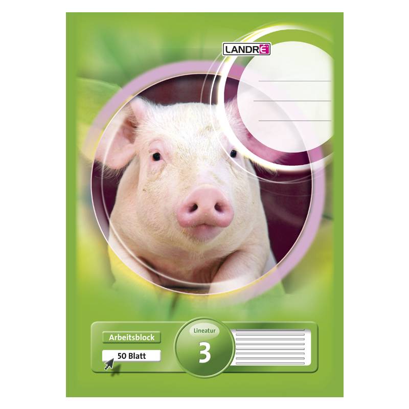 LANDRÉ Arbeitsblock "pro terra", DIN A4, Lineatur 3