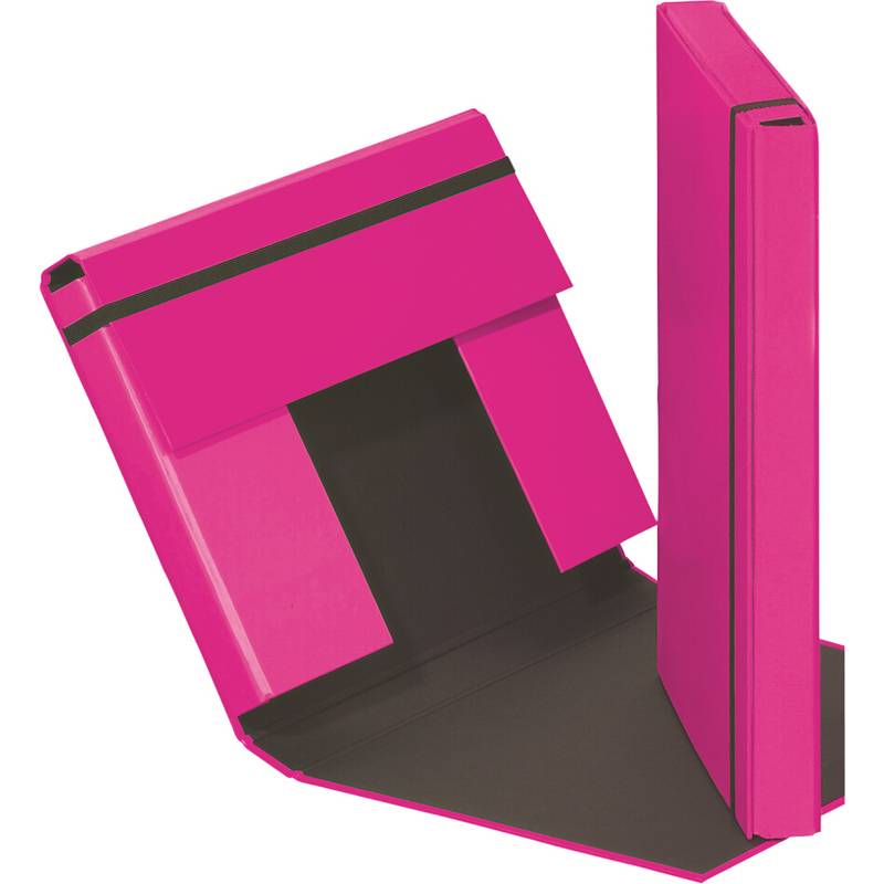 PAGNA Heftbox "Trend Colours", DIN A4, dunkelrosa