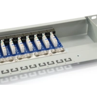 equip - Patch Panel - CAT 6 - STP - RAL 7035 - 1U - 48.3 cm (19"") equip - Patch Panel - CAT 6 - STP - RAL 7035 - 1U - 48.3 cm (19"")