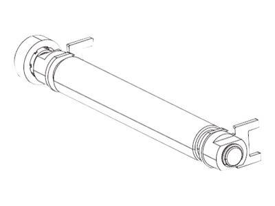 Zebra - Druckwalze - für Zebra ZT220, ZT230