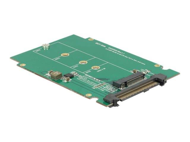 DeLOCK Converter U.2 SFF-8639 > M.2 NGFF NVMe Key M - Laufwerksschachtadapter - 2.5" to M.2 (6.4 cm to M.2)