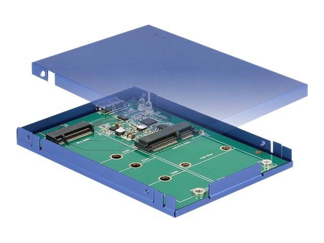 DeLOCK - Speichergehäuse - M.2 Card / mSATA - USB 3.1 (Gen 2)