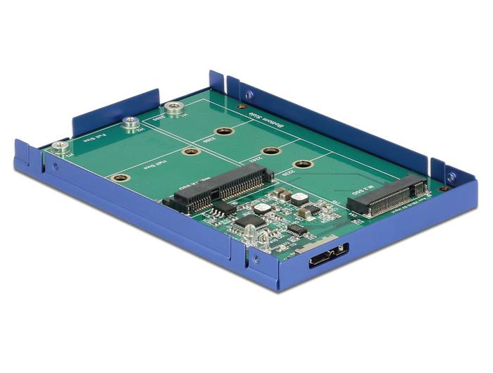DeLOCK - Speichergehäuse - M.2 Card / mSATA - USB 3.1 (Gen 2)