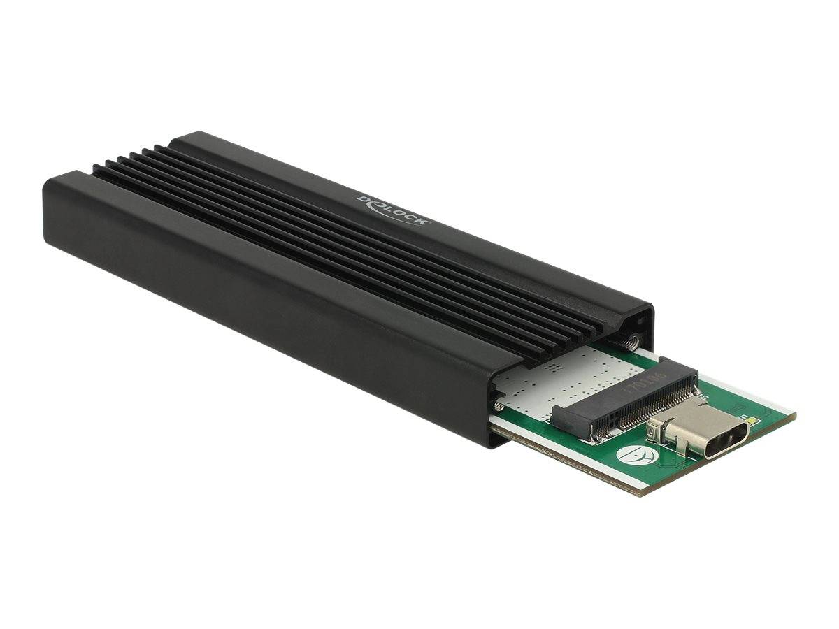 DeLOCK - Speichergehäuse - M.2 Card - USB 3.1 (Gen 2)