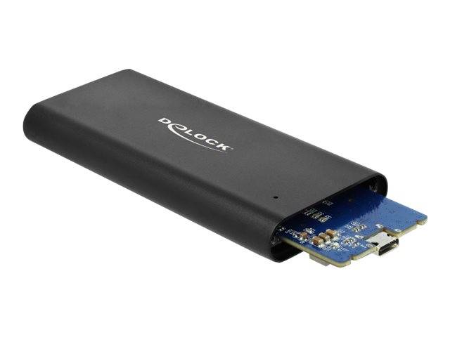 Delock - Speichergehäuse - M.2 - M.2 NVMe Card - USB 3.1 (Gen 2)