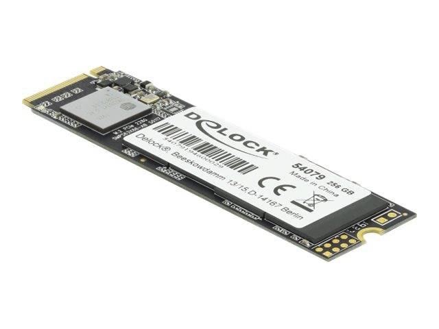 Delock M.2 SSD - 256 GB SSD - intern - M.2 2280 - PCI Express 3.0 x4 (NVMe)