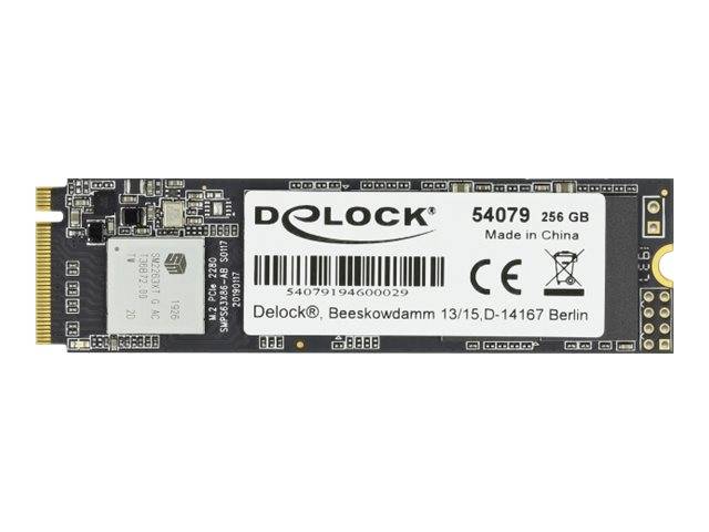 Delock M.2 SSD - 256 GB SSD - intern - M.2 2280 - PCI Express 3.0 x4 (NVMe)