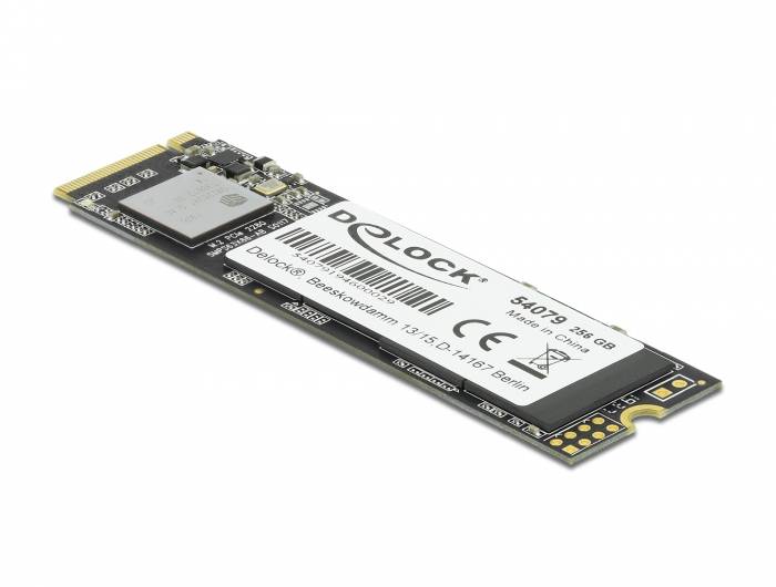 Delock M.2 SSD - 256 GB SSD - intern - M.2 2280 - PCI Express 3.0 x4 (NVMe)