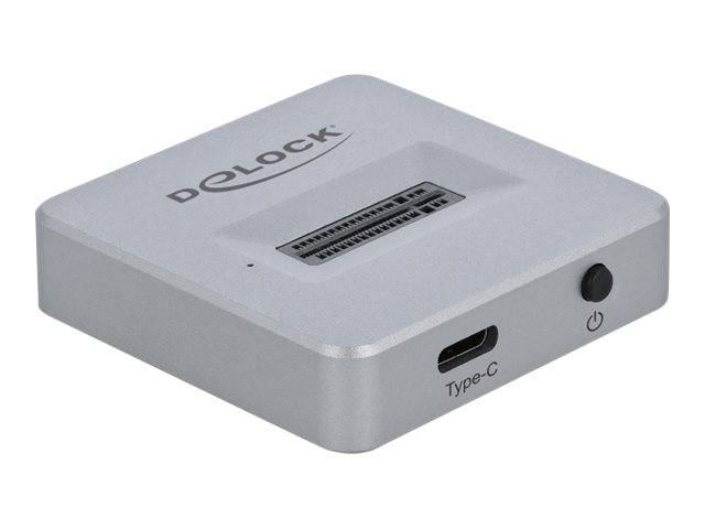 DeLOCK M.2 Docking Station - Schnittstellenadapter - M.2 NVMe Card - USB 3.2 (Gen 2)
