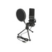 DeLOCK USB Condenser Microphone Set for Podcasting, Gaming and Vocals