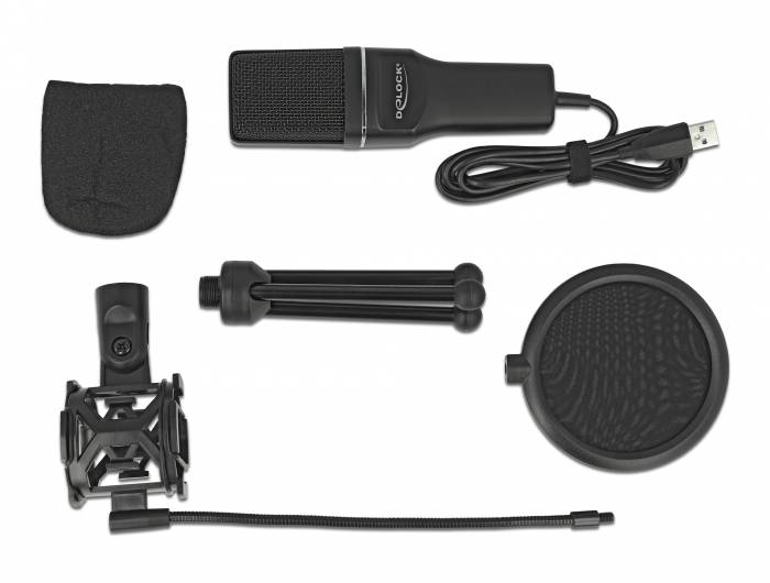 Delock USB Condenser Microphone Set for Podcasting, Gaming and Vocals